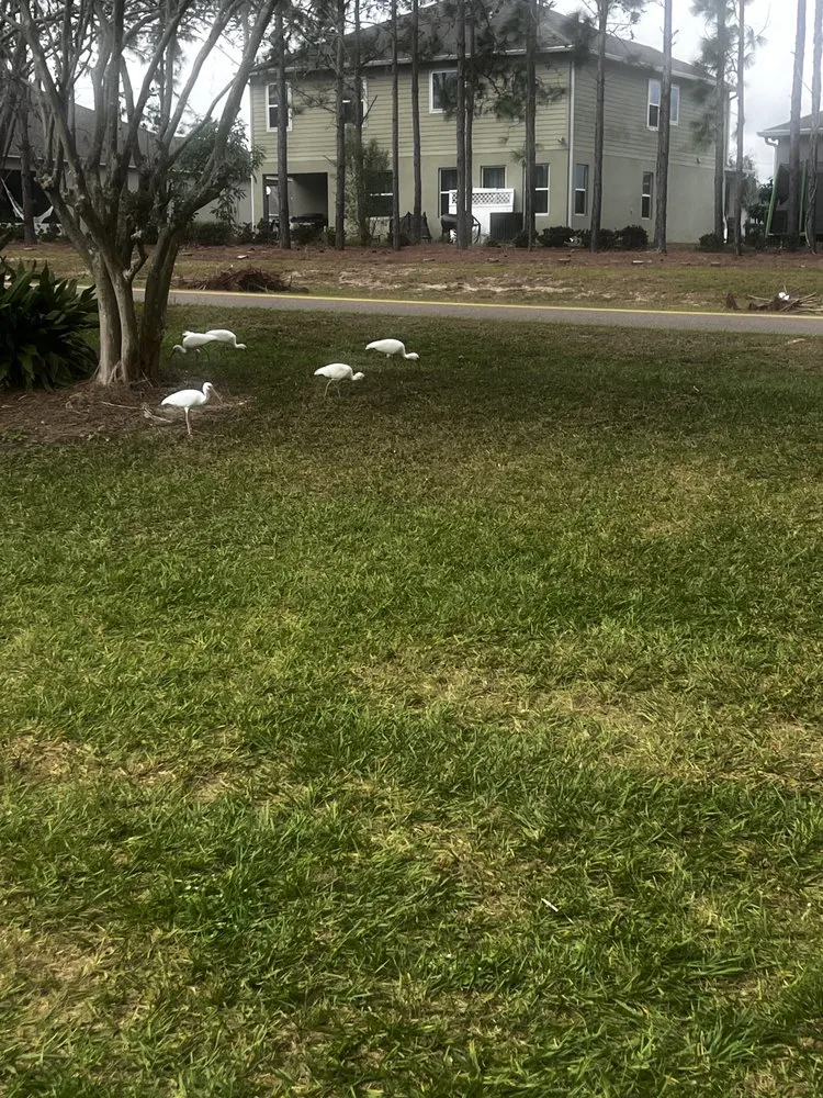 Local residential landscaping in Clermont, FL by Mr Quality Landscape and Mowing