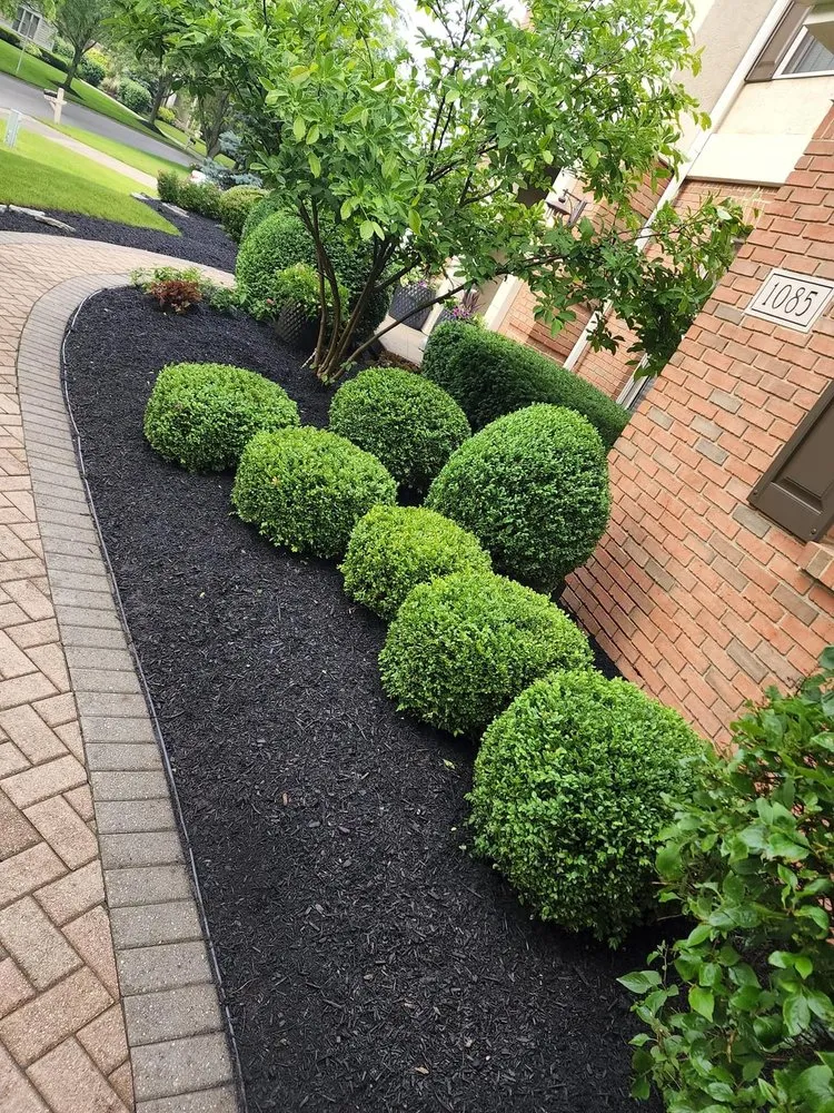 Trusted residential landscaping experts serving Columbus, OH - Mr Rodriguez Lawn Care Services