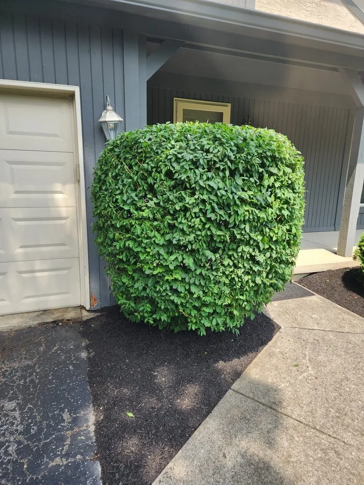 Custom outdoor landscaping in Columbus, OH - Mr Rodriguez Lawn Care Services