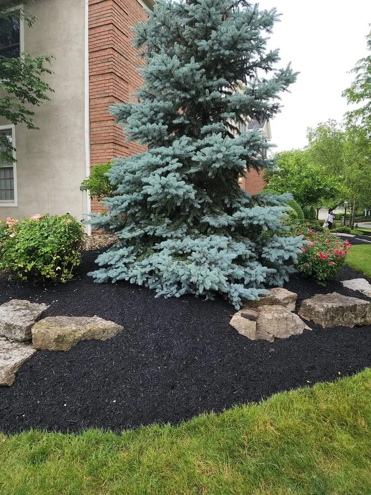 Top-rated lawn care service with custom design in Columbus, OH by Mr Rodriguez Lawn Care Services