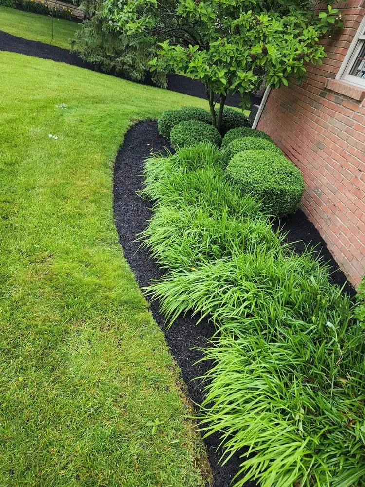 Affordable residential landscaping for residential properties across Columbus, OH - Mr Rodriguez Lawn Care Services