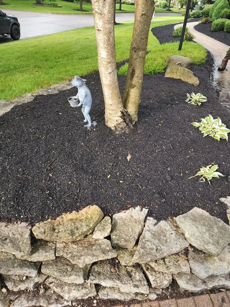 Custom lawn mowing service for year-round maintenance in Columbus, OH by Mr Rodriguez Lawn Care Services