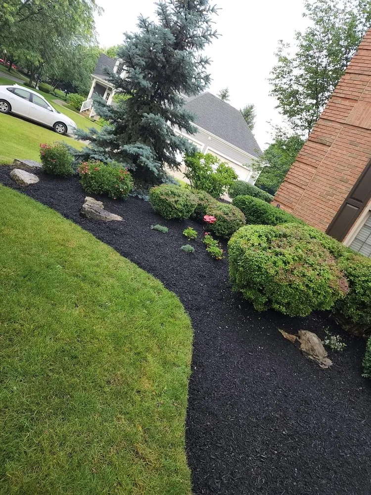 Trusted yard cleanup service for year-round maintenance in Columbus, OH by Mr Rodriguez Lawn Care Services