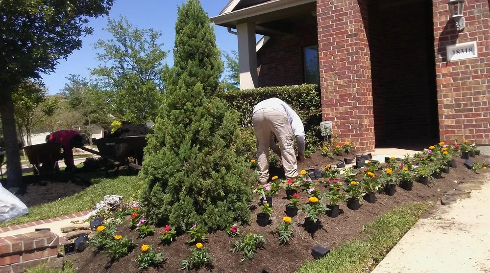 Professional lawn care service with custom design across Houston, TX - Mr. Rodriguez Lawn Services