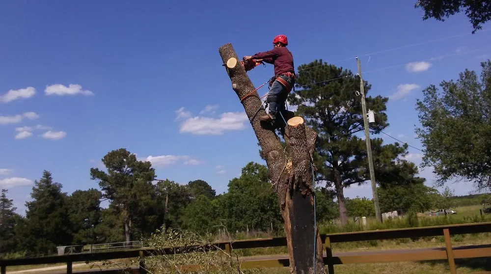 Local residential landscaping for beautiful yards across Houston, TX - Mr. Rodriguez Lawn Services