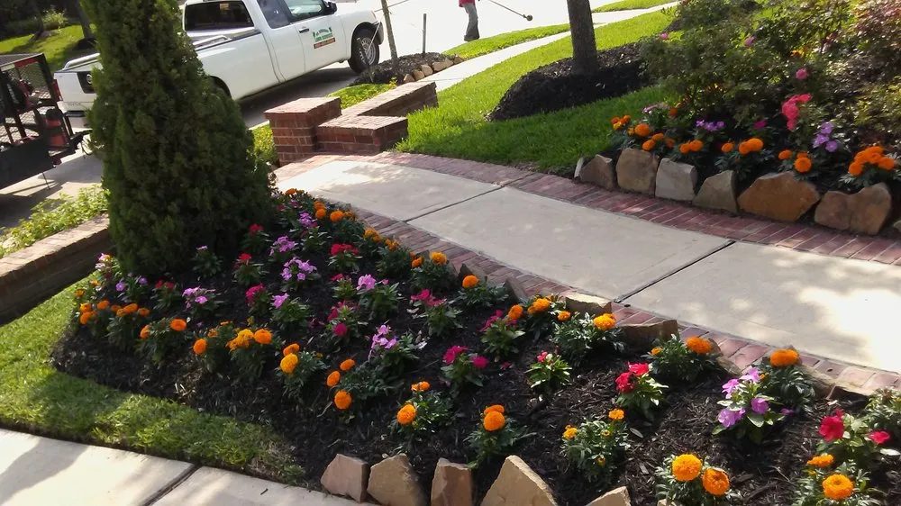 Professional yard cleanup service in Houston, TX - Mr. Rodriguez Lawn Services