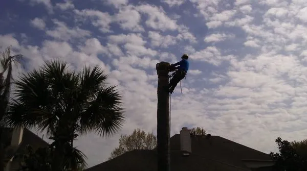 Mr. Rodriguez Lawn Services Logo