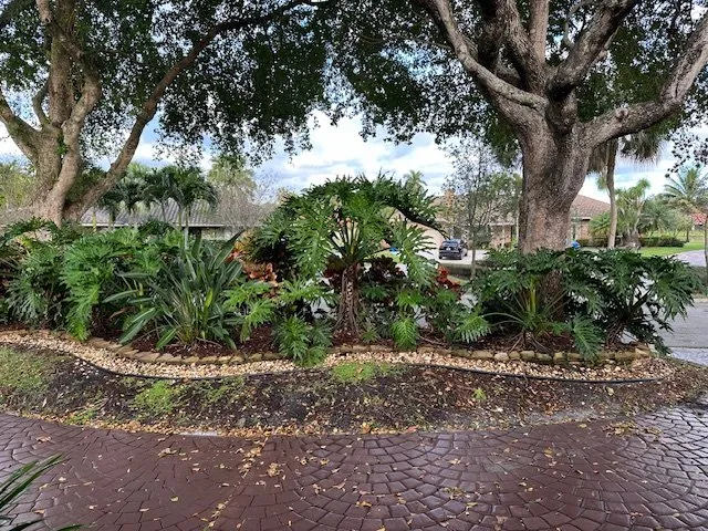 Affordable landscaping services in Coral Springs, FL by Mr Rogers Landscape Service