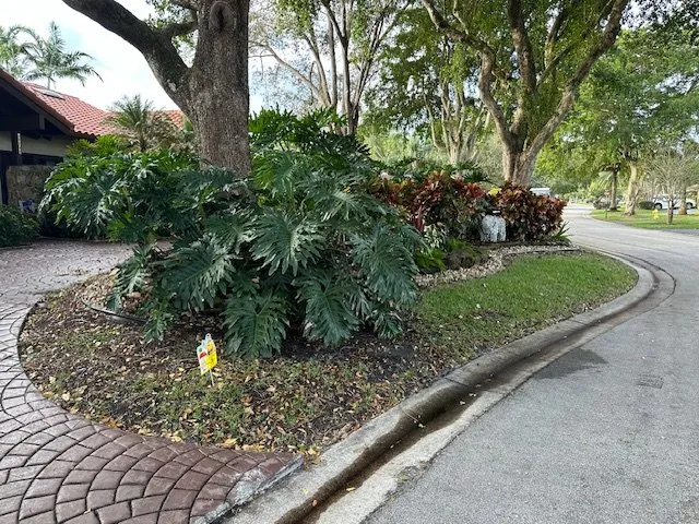 Expert landscape installation in Coral Springs, FL by Mr Rogers Landscape Service