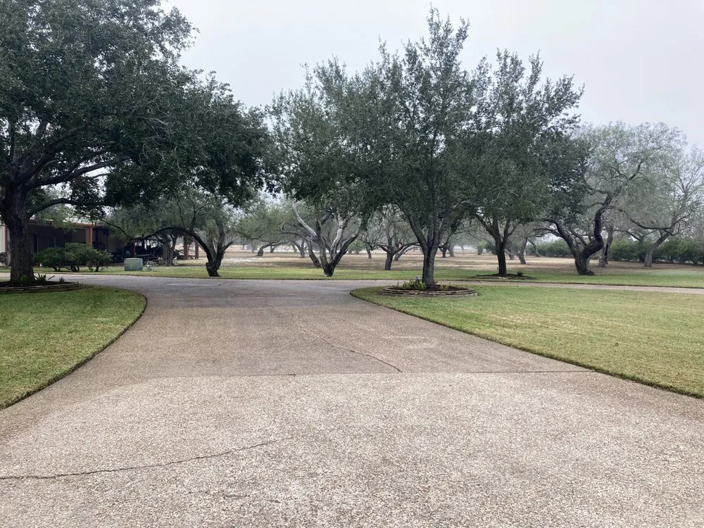 Affordable landscaping services near you in Corpus Christi, TX by Mr Saenz Expert Lawn Care