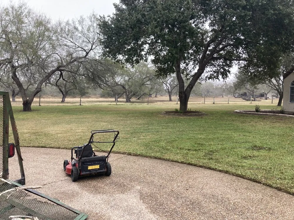 Reliable yard cleanup service in Corpus Christi, TX by Mr Saenz Expert Lawn Care