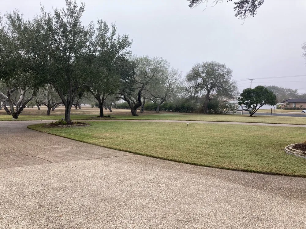 Professional yard cleanup service experts serving Corpus Christi, TX - Mr Saenz Expert Lawn Care