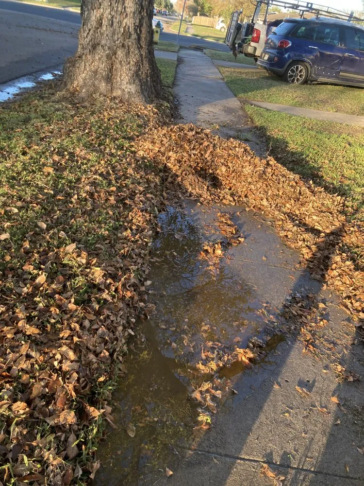 Reliable landscape installation with custom design across Corpus Christi, TX - Mr Saenz Expert Lawn Care