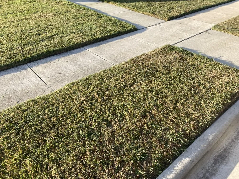 Affordable residential landscaping for year-round maintenance across Corpus Christi, TX - Mr Saenz Expert Lawn Care