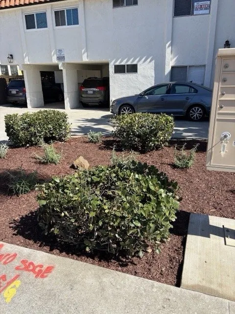 Top-rated landscaping services in La Mesa, CA - Mr Scape