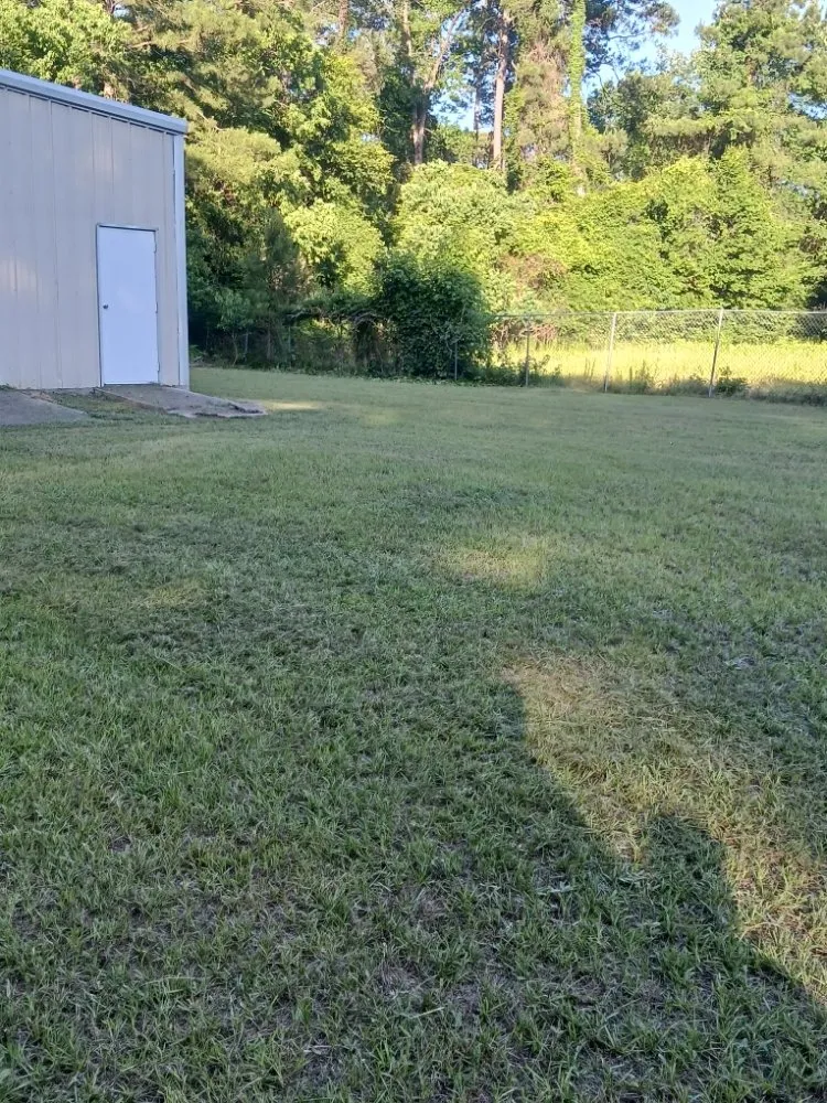 Professional yard cleanup service in Conroe, TX - M&R Services