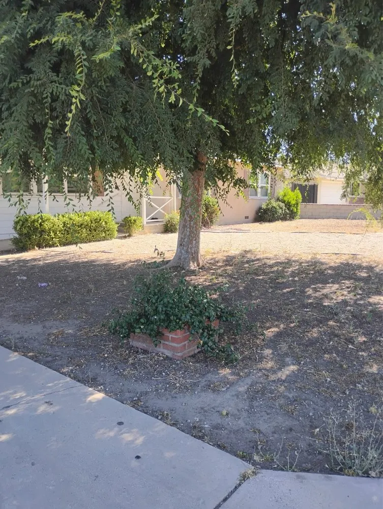 Professional landscaping services experts serving Hemet, CA - M&R Services