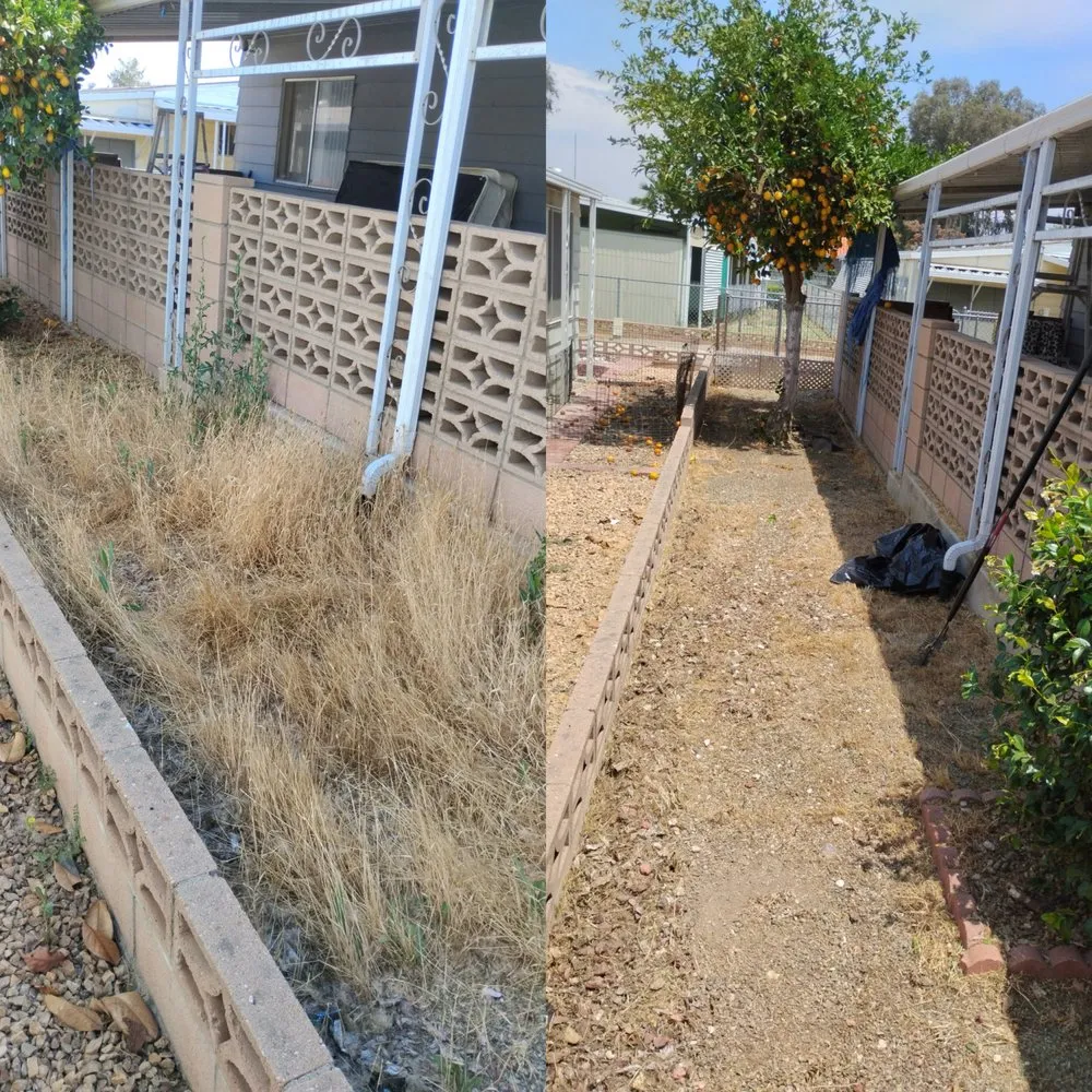 Professional landscape design for year-round maintenance across Hemet, CA - M&R Services