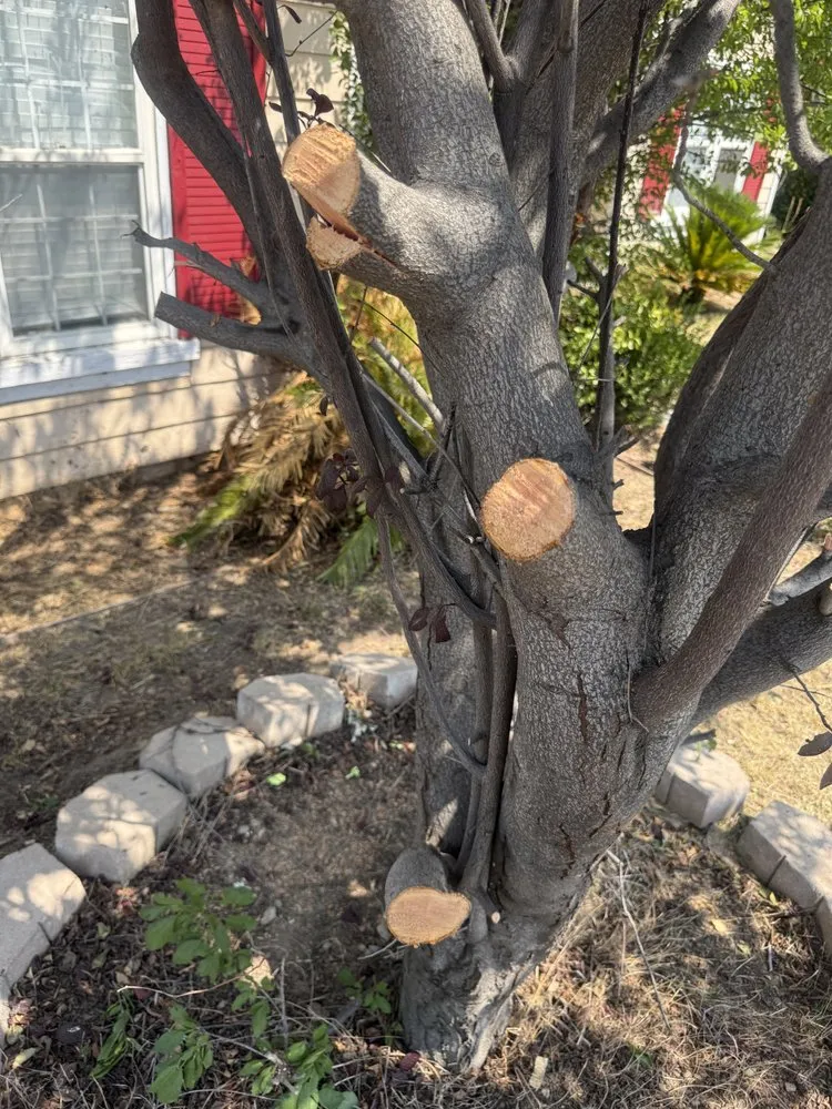 Affordable landscape design experts serving Hemet, CA - M&R Services