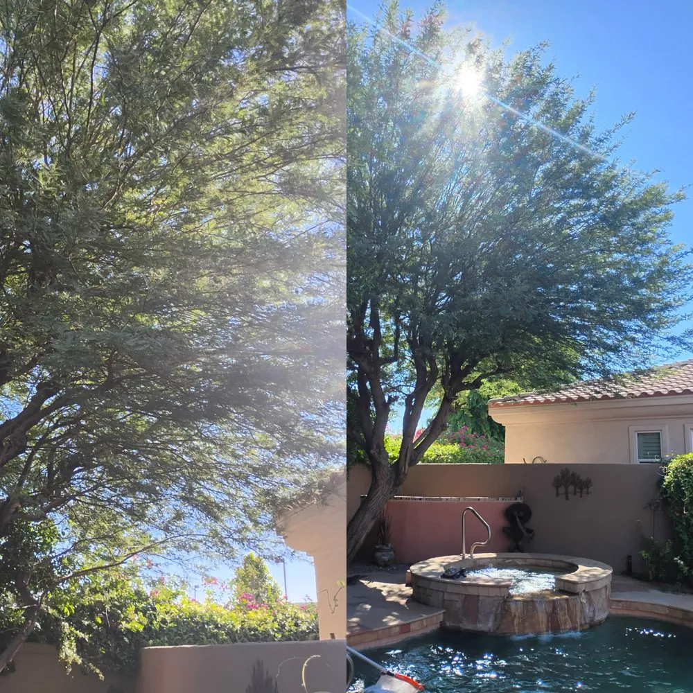 Affordable landscaping services in Hemet, CA - M&R Services