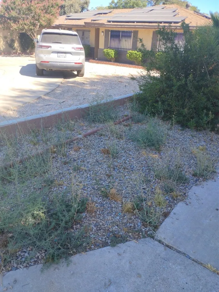 Local outdoor landscaping in Hemet, CA - M&R Services