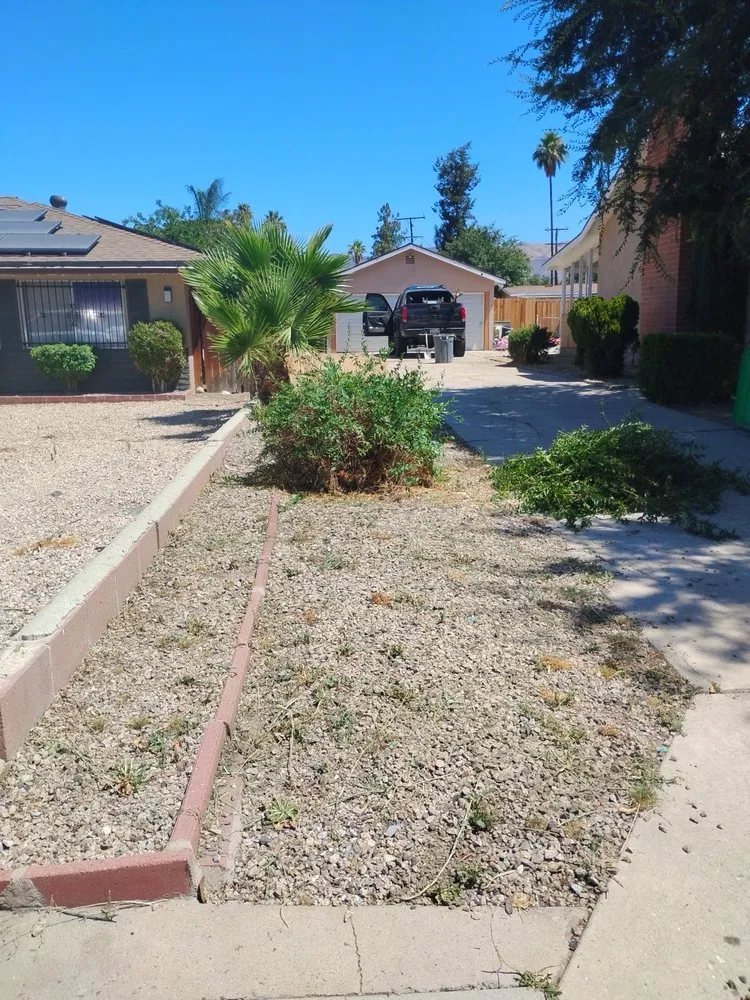 Professional landscape installation in Hemet, CA by M&R Services