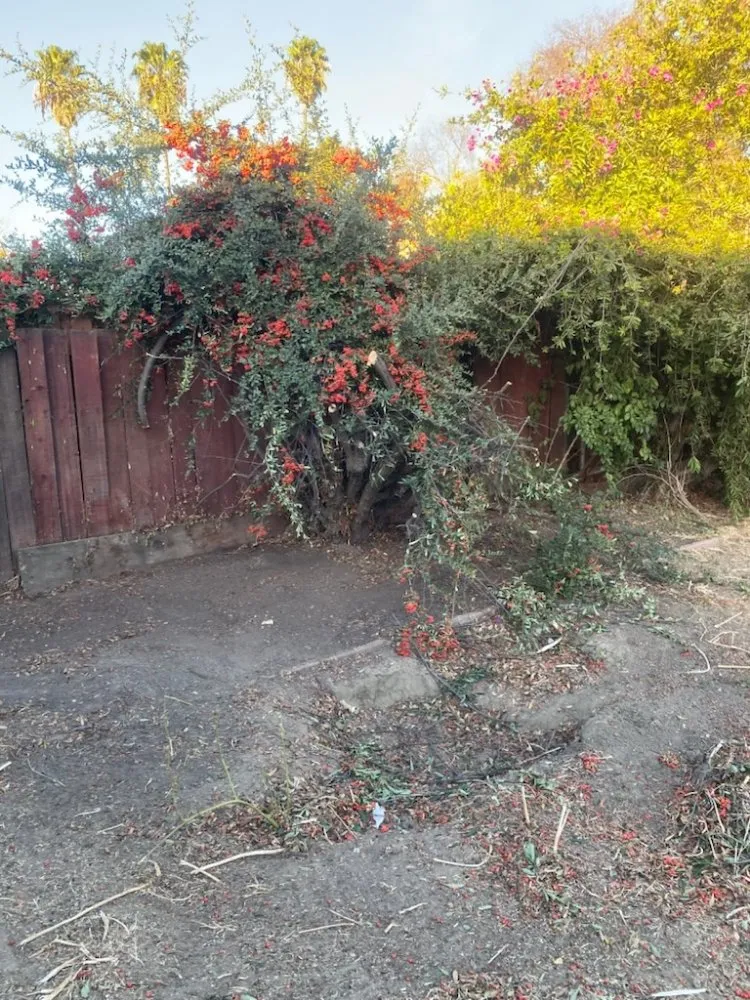 Top-rated residential landscaping for homes across Hemet, CA - M&R Services