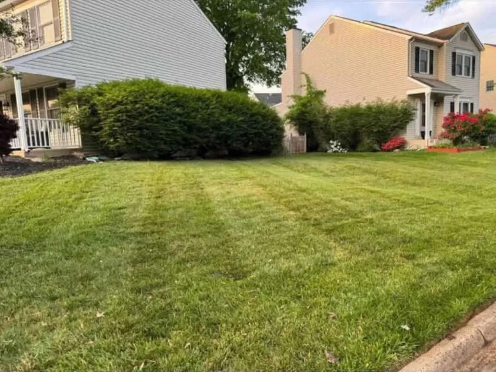 Professional landscape design experts serving Manassas Park, VA - Mr Ship Landscape