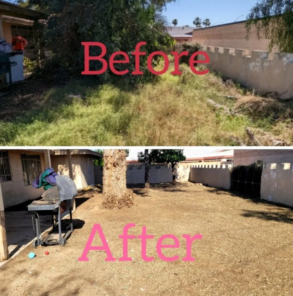 Expert lawn care service in Tucson, AZ - Mr. Smith's Landscaping
