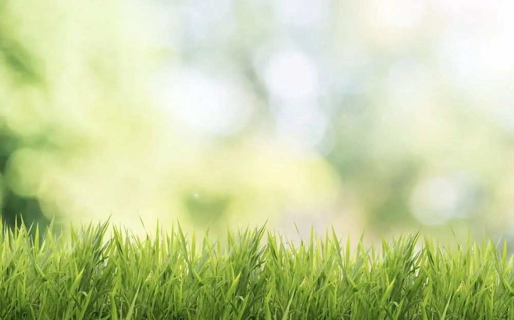 Professional landscape installation experts serving Chicago, IL - Mr Snowman And Lawn Care Service