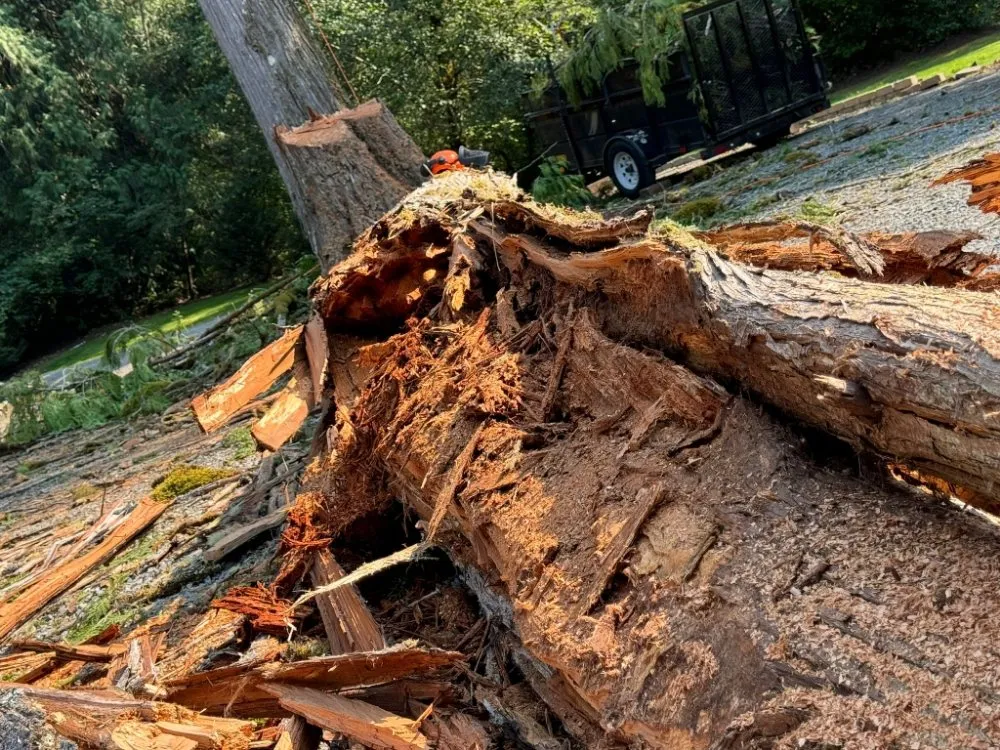 Top-rated lawn care service in Gresham, OR by Mr Soto's Lawn Care