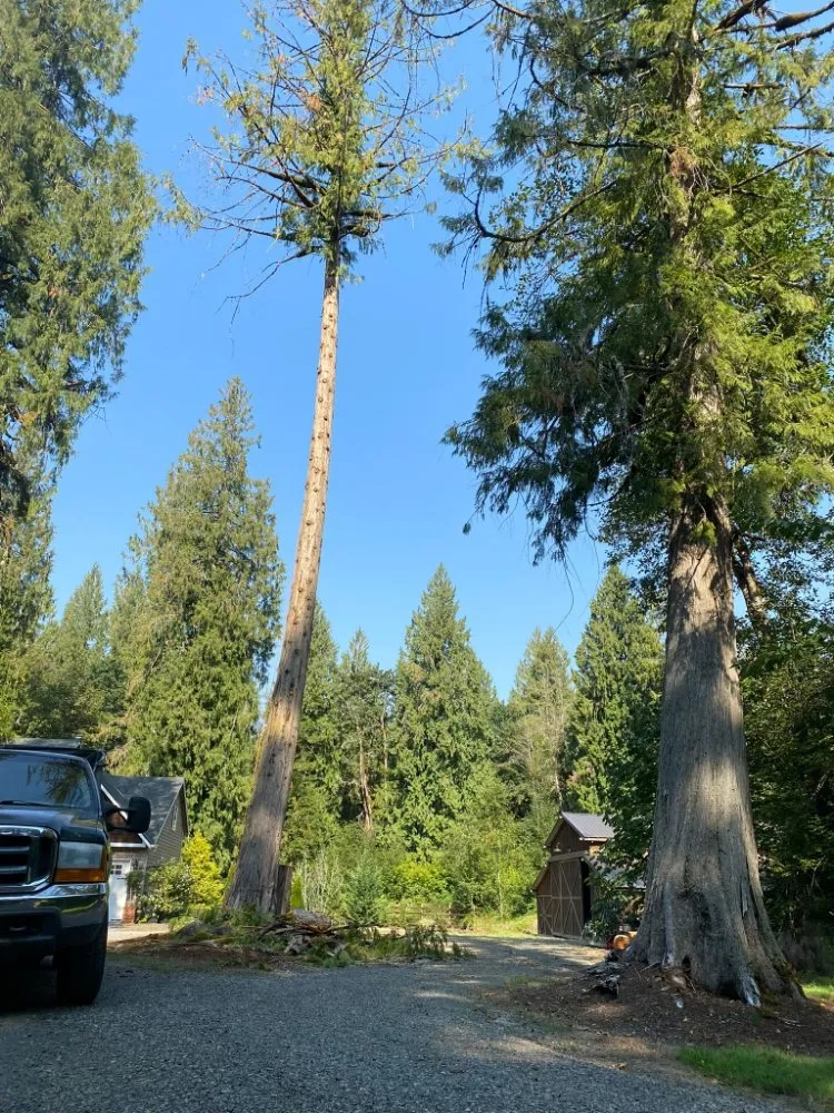 Top-rated landscaping services for year-round maintenance in Gresham, OR by Mr Soto's Lawn Care