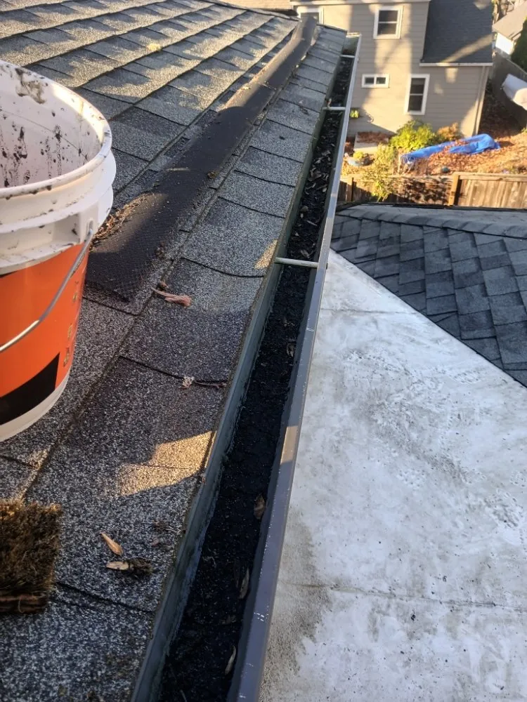 Expert yard maintenance in Gresham, OR - Mr Soto's Lawn Care