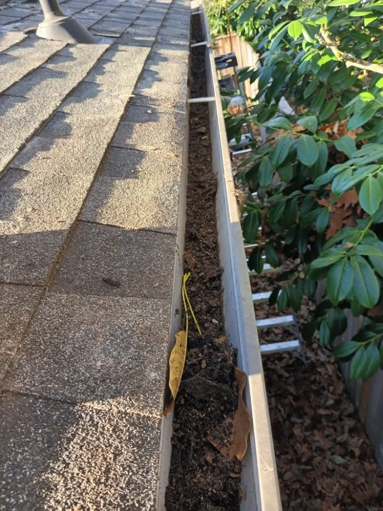 Custom outdoor landscaping experts serving Gresham, OR - Mr Soto's Lawn Care