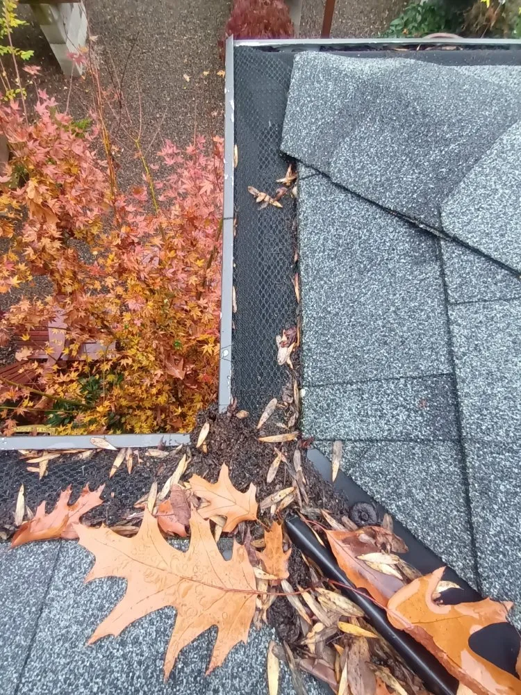 Expert landscape design in Gresham, OR - Mr Soto's Lawn Care