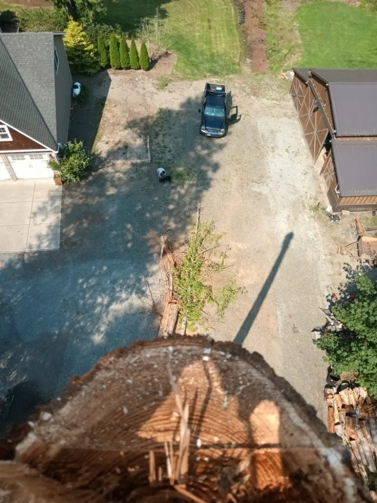 Custom outdoor landscaping in Gresham, OR by Mr Soto's Lawn Care