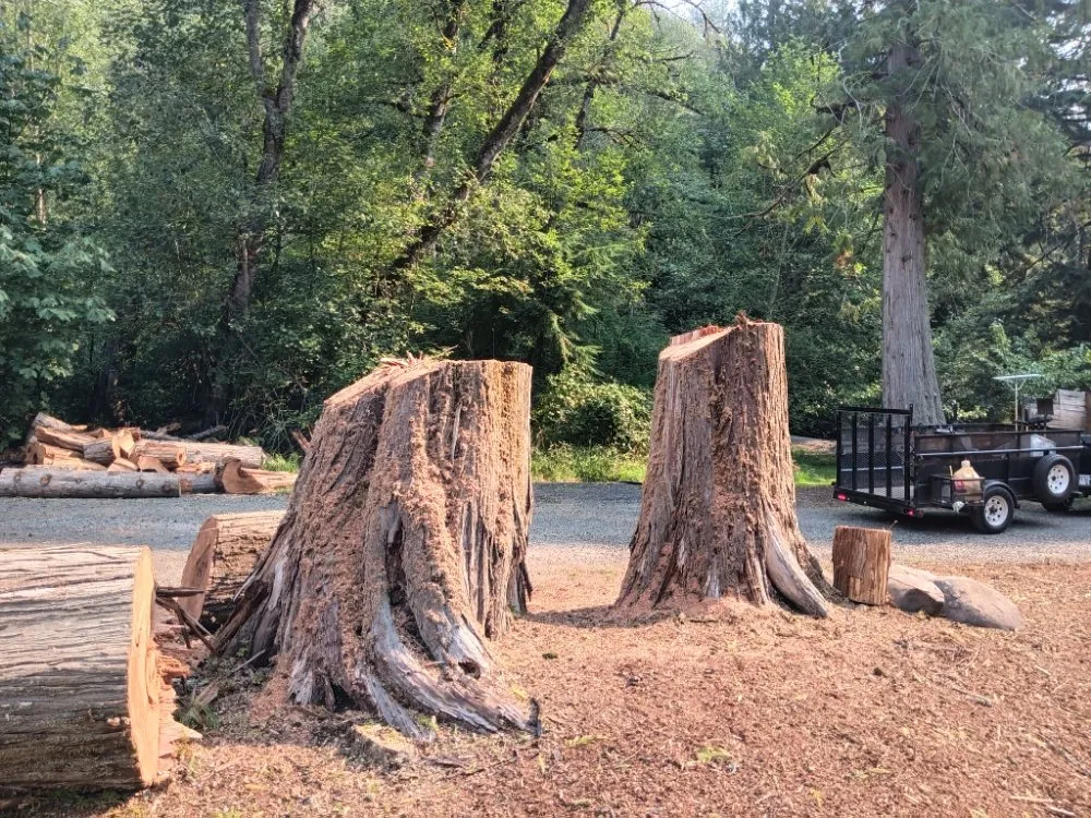 Affordable lawn care service near you in Gresham, OR by Mr Soto's Lawn Care