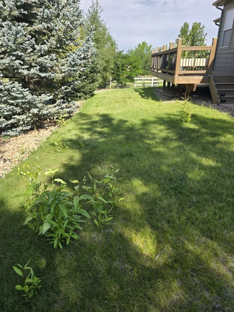 Affordable landscaping services in Castle Rock, CO - Mr Sparkle