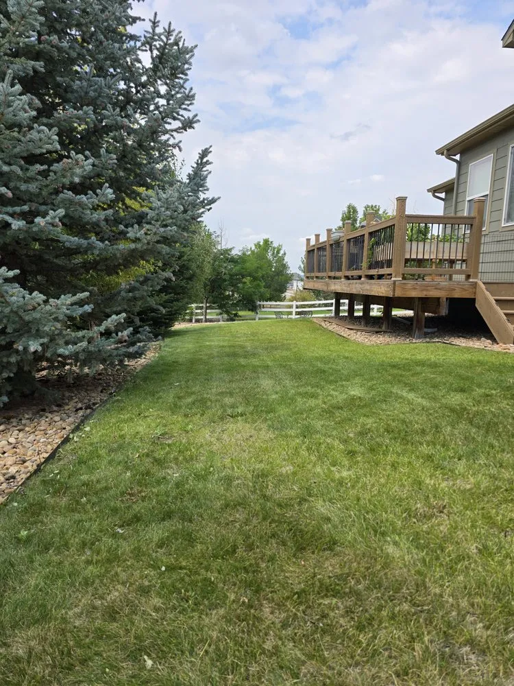 Custom lawn care service in Castle Rock, CO by Mr Sparkle