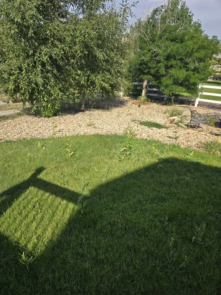 Reliable garden landscaping in Castle Rock, CO by Mr Sparkle