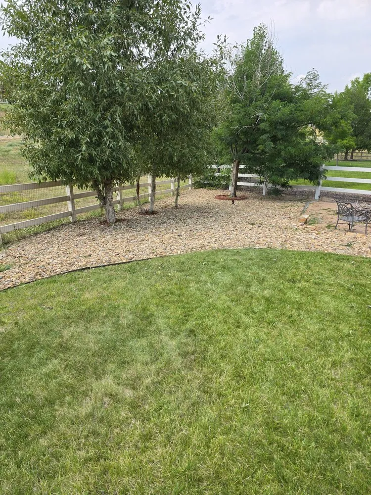 Expert yard cleanup service experts serving Castle Rock, CO - Mr Sparkle