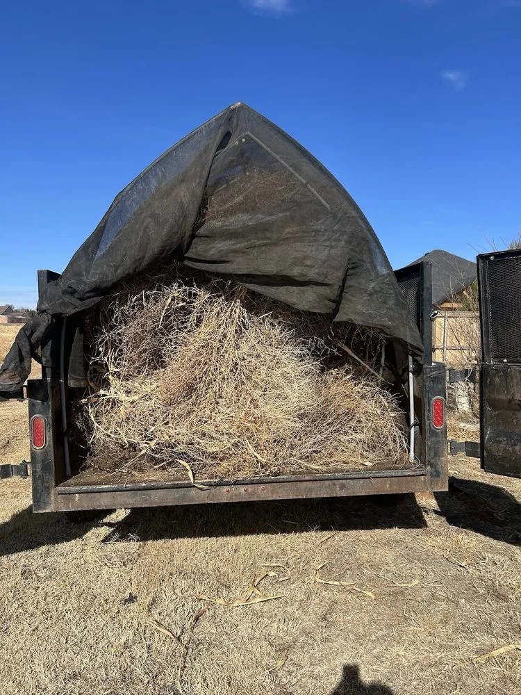Affordable residential landscaping for beautiful yards in Lubbock, TX by Mr Speedy Gonzalez