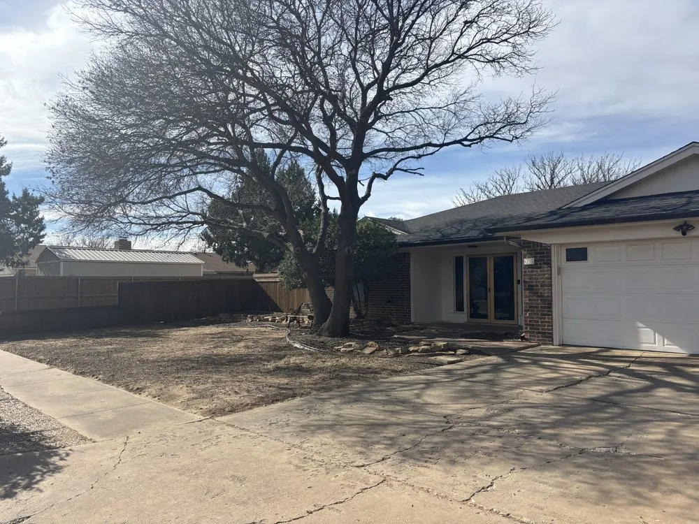 Professional yard cleanup service for year-round maintenance across Lubbock, TX - Mr Speedy Gonzalez