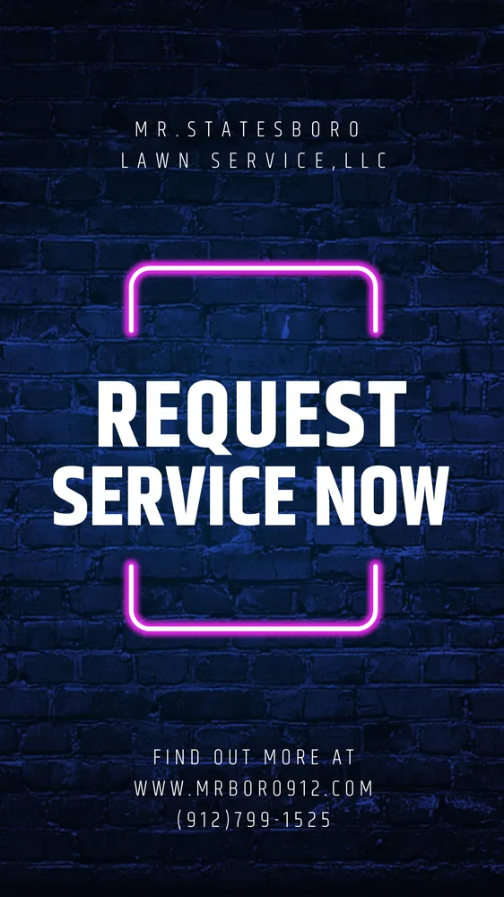 Affordable landscaping services in Statesboro, GA by Mr Statesboro Lawn Service