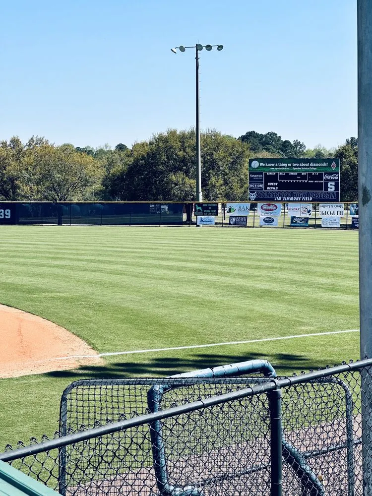 Local lawn care service in Statesboro, GA - Mr Statesboro Lawn Service