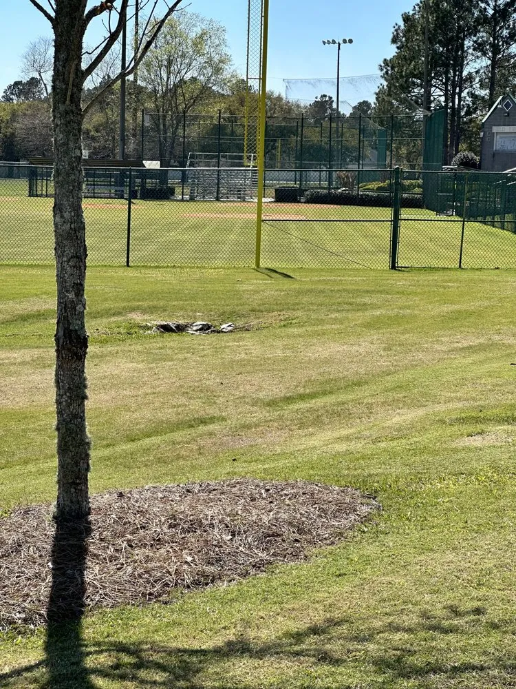 Top-rated lawn care service in Statesboro, GA - Mr Statesboro Lawn Service