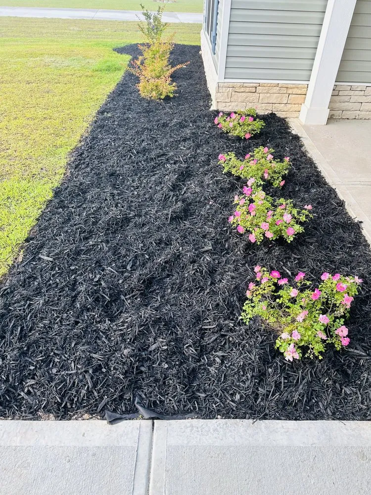 Trusted yard cleanup service for residential properties in Statesboro, GA by Mr Statesboro Lawn Service