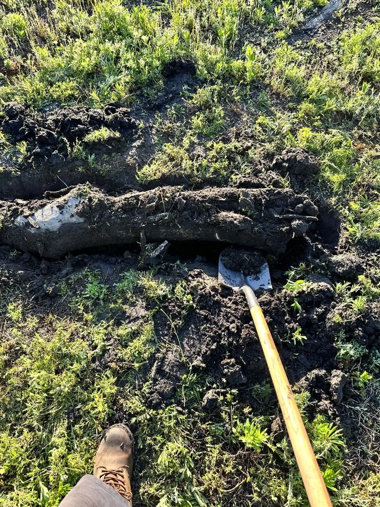 Expert garden landscaping experts serving Statesboro, GA - Mr Statesboro Lawn Service