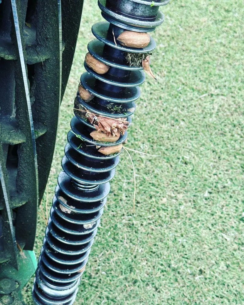 Top-rated landscaping services experts serving Statesboro, GA - Mr Statesboro Lawn Service