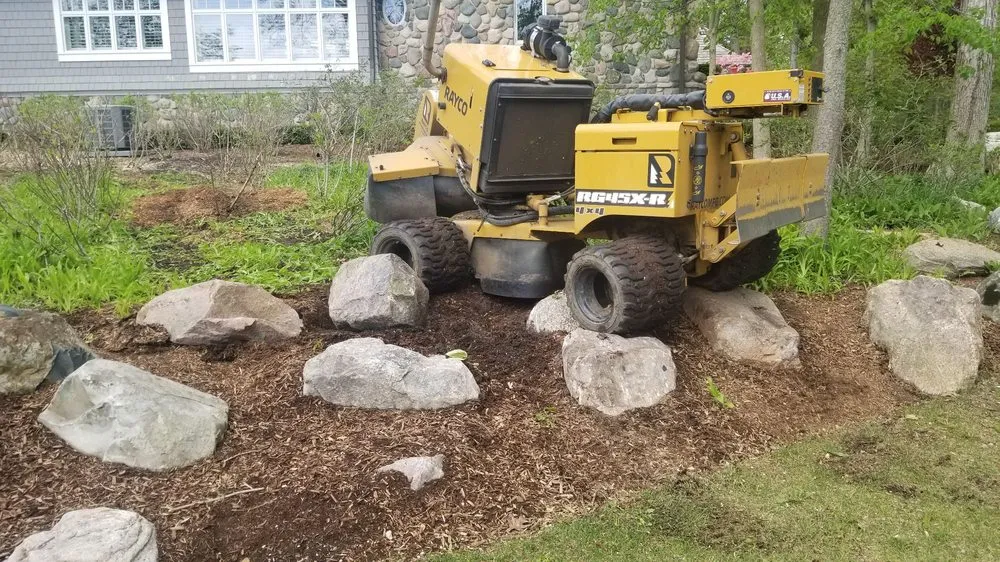 Local yard cleanup service in Clarkston, MI - Mr. Stump